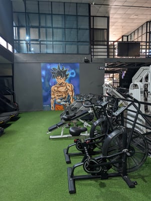 Air Bike and Spinners