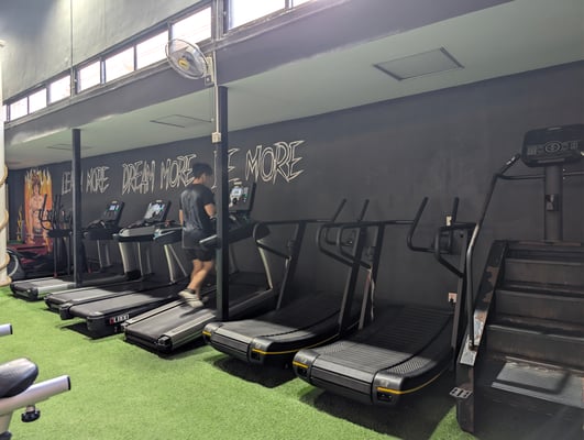 Treadmill and Stairmaster